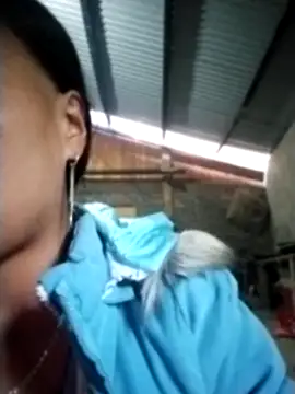 Snapshot of cute_love00 chatting on November 2025 01:37:02 AM cute love00 online show from November 2025 01:37:02 AM