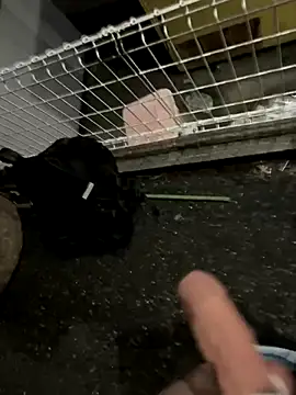 Snapshot of rinne0110 chatting on September 2025 04:18:01 PM rinne0110 online show from September 2025 04:18:01 PM