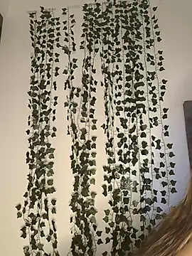 butterfly777  online show from January 2026 08:41:01 AM