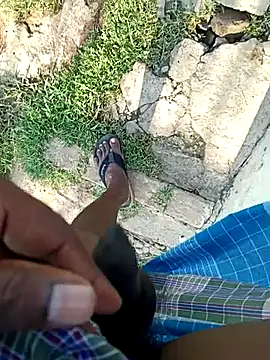 dolphiinn online show from April 2026 10:42:01 AM