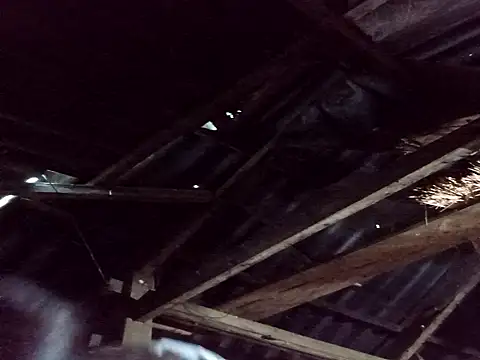 Snapshot of _Helala_ chatting on October 2025 11:21:02 PM Helala online show from October 2025 11:21:02 PM