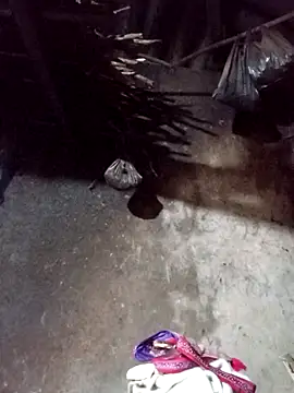 Snapshot of _Helala_ chatting on November 2025 12:32:02 AM Helala online show from November 2025 12:32:02 AM