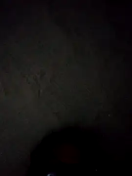 Snapshot of Brendaasnicar12 chatting on November 2025 05:06:01 AM Brendaasnicar12 online show from November 2025 05:06:01 AM