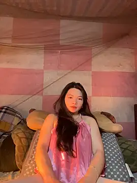 Aminotran online show from November 2025 04:44:02 AM