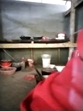 venu00 online show from January 2026 04:25:01 AM