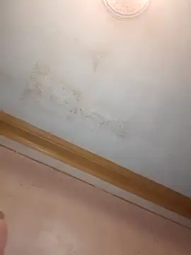 Snapshot of Klubnyhka3991 chatting on December 2025 09:31:02 PM Klubnyhka3991 online show from December 2025 09:31:02 PM