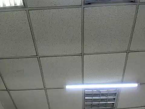 Snapshot of ScarletDoll chatting on October 2025 02:52:01 AM ScarletDoll online show from October 2025 02:52:01 AM