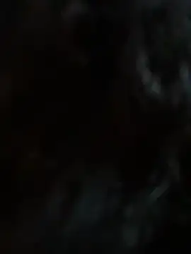 StylishEchium online show from January 2026 12:09:02 PM