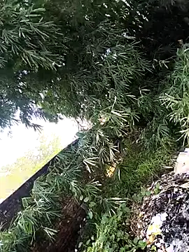 onlymasti00 online show from November 2025 08:57:02 AM