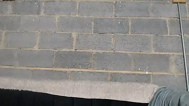 Snapshot of Vince_Favent chatting on September 2025 01:53:02 AM Vince Favent online show from September 2025 01:53:02 AM