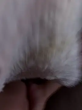 Snapshot of erokami36 chatting on February 2026 06:07:01 AM erokami36 online show from February 2026 06:07:01 AM