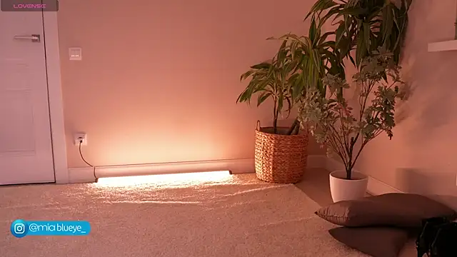 Miablueye online show from November 2025 03:12:02 PM