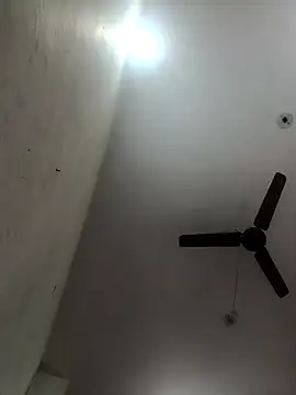 Appypie online show from November 2025 05:06:01 AM