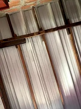 Snapshot of RAKEL37 chatting on October 2025 06:05:02 PM RAKEL37 online show from October 2025 06:05:02 PM