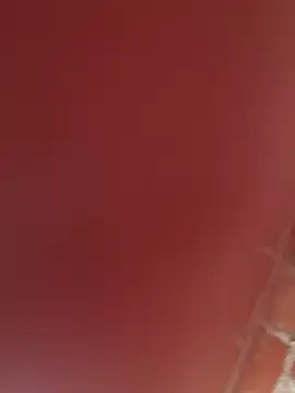 Snapshot of RAKEL37 chatting on November 2025 04:18:02 PM RAKEL37 online show from November 2025 04:18:02 PM