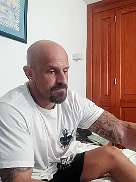Visto36 online show from July 2026 11:20:01 PM