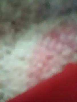 vardh033 online show from September 2025 05:03:02 PM