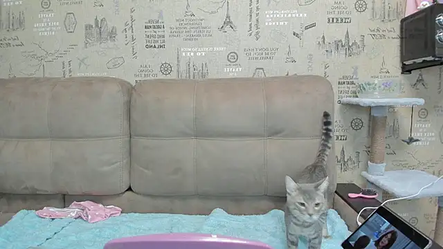 Snapshot of Kelly_Gerzikaa chatting on November 2025 01:41:02 AM Kelly Gerzikaa online show from November 2025 01:41:02 AM