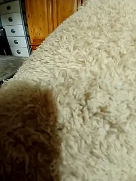 Ahalm online show from November 2025 02:33:01 PM