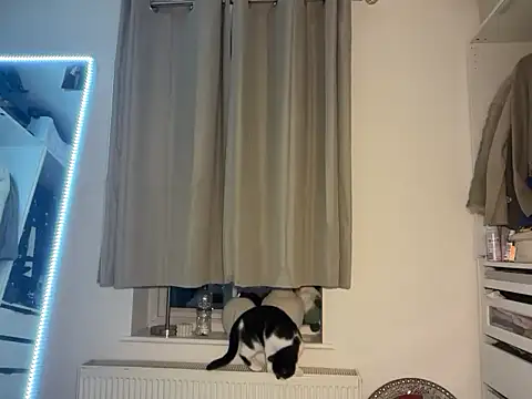 Snapshot of KayleeBella chatting on December 2025 09:24:02 PM KayleeBella online show from December 2025 09:24:02 PM