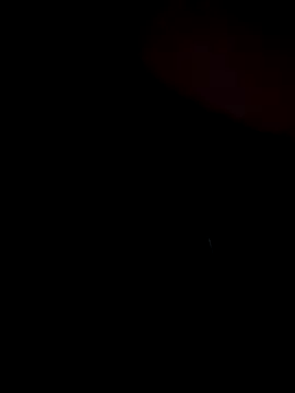 Snapshot of stevo170t chatting on November 2025 07:40:01 AM stevo170t online show from November 2025 07:40:01 AM