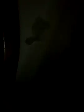 Bruno18cmmmmkk online show from December 2025 03:46:02 AM