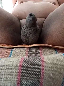 Snapshot of HotsitoTQM chatting on December 2025 03:51:02 PM HotsitoTQM online show from December 2025 03:51:02 PM