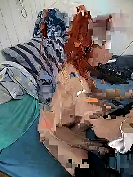  Pipi  online show from February 2026 12:14:02 PM