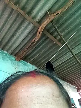 Snapshot of Hot-honi chatting on September 2025 10:48:01 AM Hot-honi online show from September 2025 10:48:01 AM