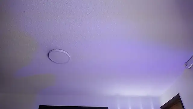  Charlotte Collins  online show from November 2025 02:29:02 PM