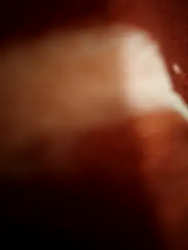 Snapshot of sexy__girls98 chatting on November 2025 11:47:01 PM sexy girls98 online show from November 2025 11:47:01 PM