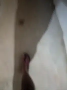 Snapshot of sexy__girls98 chatting on November 2025 12:13:02 AM sexy girls98 online show from November 2025 12:13:02 AM