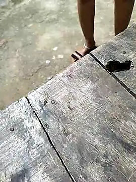 Snapshot of sexy__girls98 chatting on December 2025 05:48:01 AM sexy girls98 online show from December 2025 05:48:01 AM