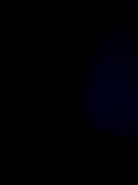 hisandhers4u online show from March 2026 10:55:02 AM