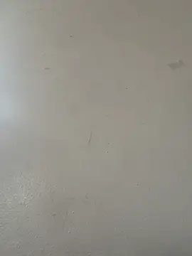 diamondunleashes online show from April 2026 08:43:01 PM