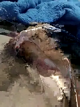 Snapshot of hdz3012 chatting on November 2025 01:29:02 PM hdz3012 online show from November 2025 01:29:02 PM