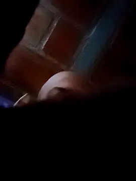 Perropa online show from February 2026 11:36:02 AM