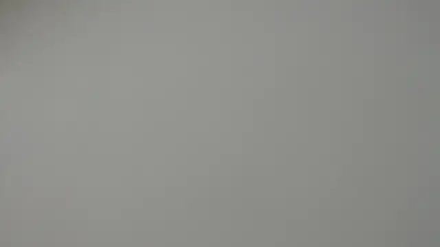 Rocky Muscle online show from March 2026 08:31:02 AM