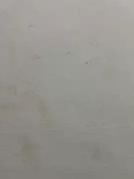 jully-jully online show from September 2025 02:59:01 AM