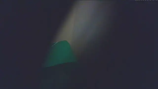 Snapshot of sharoldfox19 chatting on November 2025 05:25:01 PM sharoldfox19 online show from November 2025 05:25:01 PM