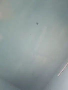 xyz-indian online show from October 2025 10:02:02 AM