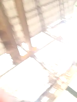 xyz-indian online show from October 2025 03:50:01 AM