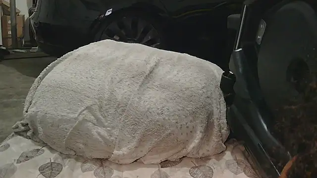 Gmajor online show from December 2025 01:32:02 AM