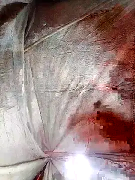 hera-00 online show from November 2025 02:28:02 PM