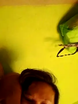 pussywet 08 online show from May 2026 11:17:02 PM