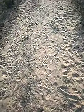 Snapshot of SmartLoda143 chatting on November 2025 11:10:02 AM SmartLoda143 online show from November 2025 11:10:02 AM