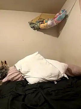 Snapshot of VanessaRose5362 chatting on October 2025 02:29:02 PM VanessaRose5362 online show from October 2025 02:29:02 PM