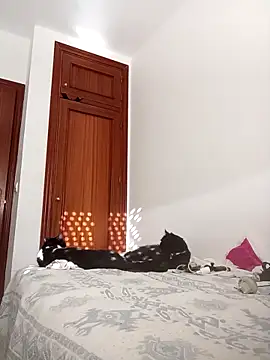 oscartres online show from November 2025 03:25:02 PM