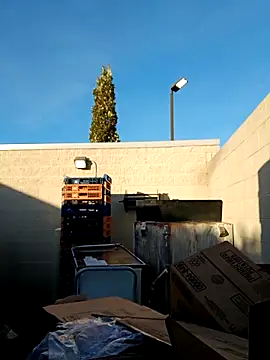 Dropdingo online show from November 2025 01:33:02 PM