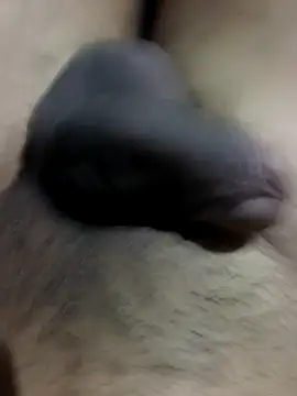 MH 12 11 online show from September 2025 04:31:02 PM